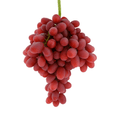 Crimson seedless - sans pepins - Le Cep De Vigne