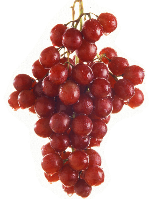 Flame seedless - Sans pépins-
