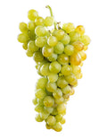 Raisin Muscat d'Alexandrie en grappes jaunes doré